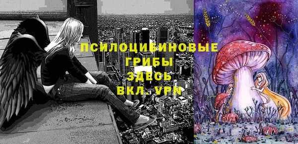 прущие крисы Беломорск