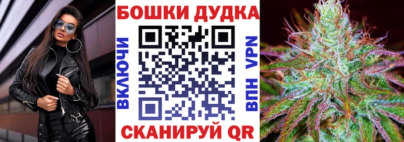 Бошки марихуана семена  darknet телеграм  Холмск 